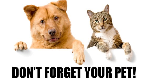 Powellrenovates's tweet photo. Furry family members are family members too! Can you plan for them in your home remodel? https://t.co/LPwBdF4jJT #HomeRemodeling #HomeDesign https://t.co/Fn5ShWLT9i
