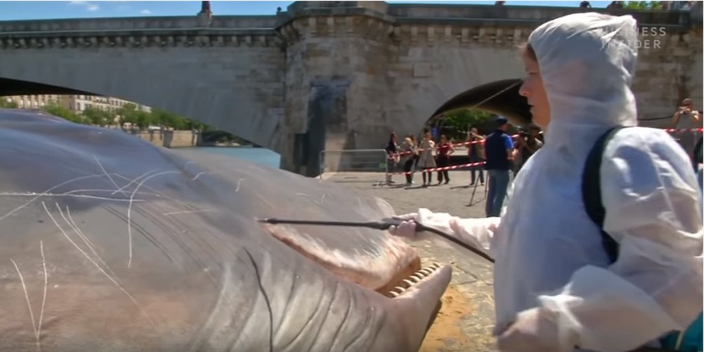 Dozens of people in Paris were fooled by this fake dead whale found by the river Seine. youtube.com/watch?v=089TuD…