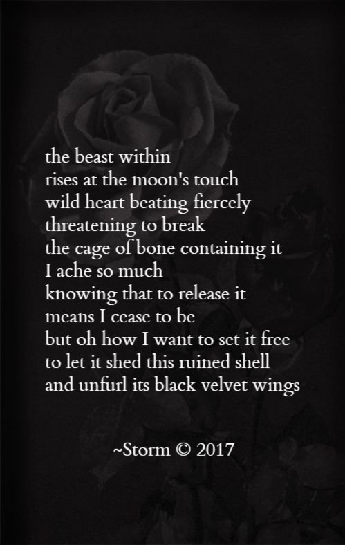 MadQueenStorm's tweet photo. "Wild Heart"
#MadVerse #DeathByPoet #MagickAngel #poetry #vss #amwriting https://t.co/2yglnleV8a