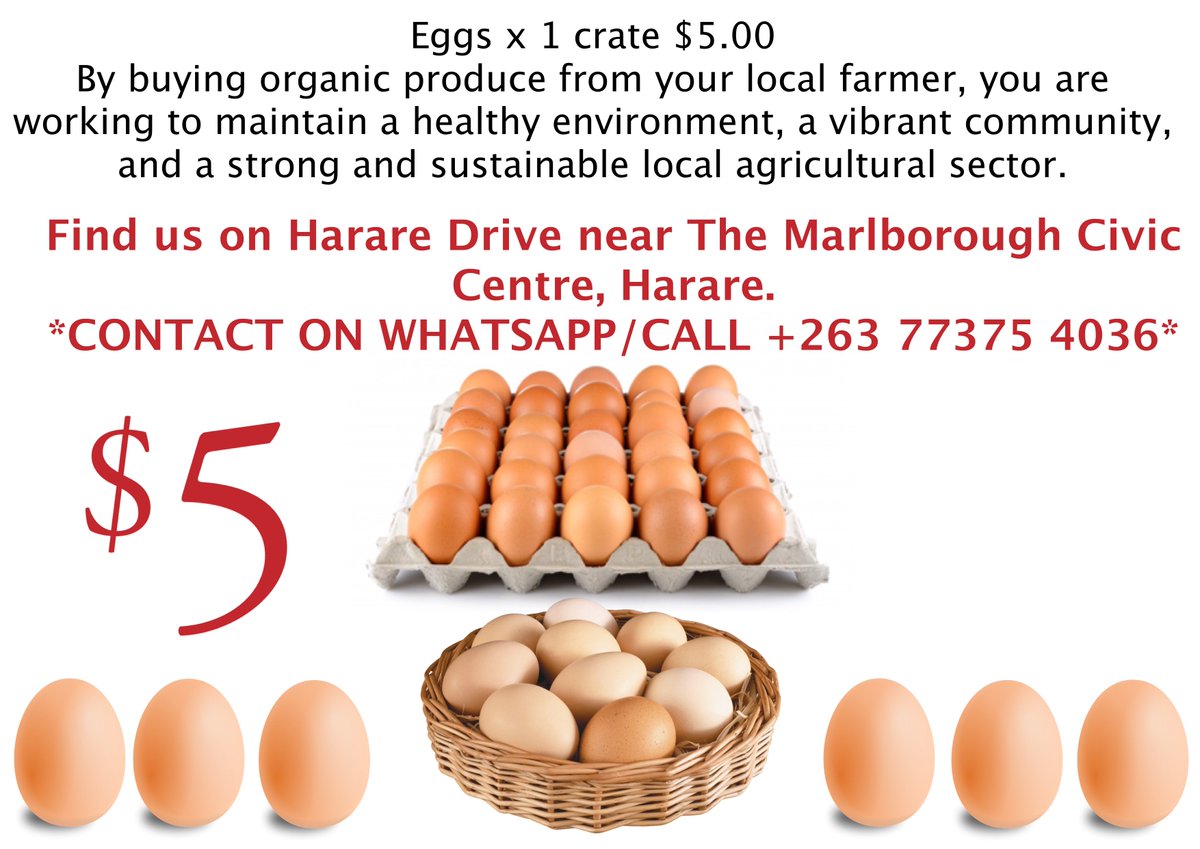 KwaMurongo's tweet photo. Egg shortage! Not for us! Buy your eggs! https://t.co/c46lWesIZc