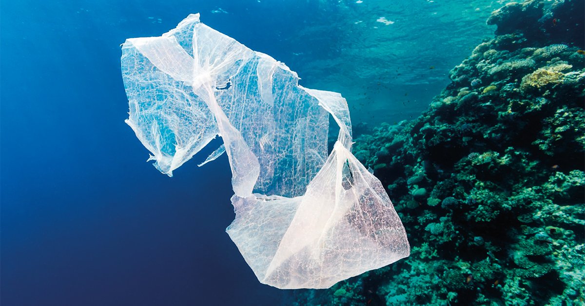 B4Plastics lanceert Compost3d®: het eerste 100% afbreekbare 3D-filament. b4plastics.com/nl/news/3d-pri…  #eco #plastic