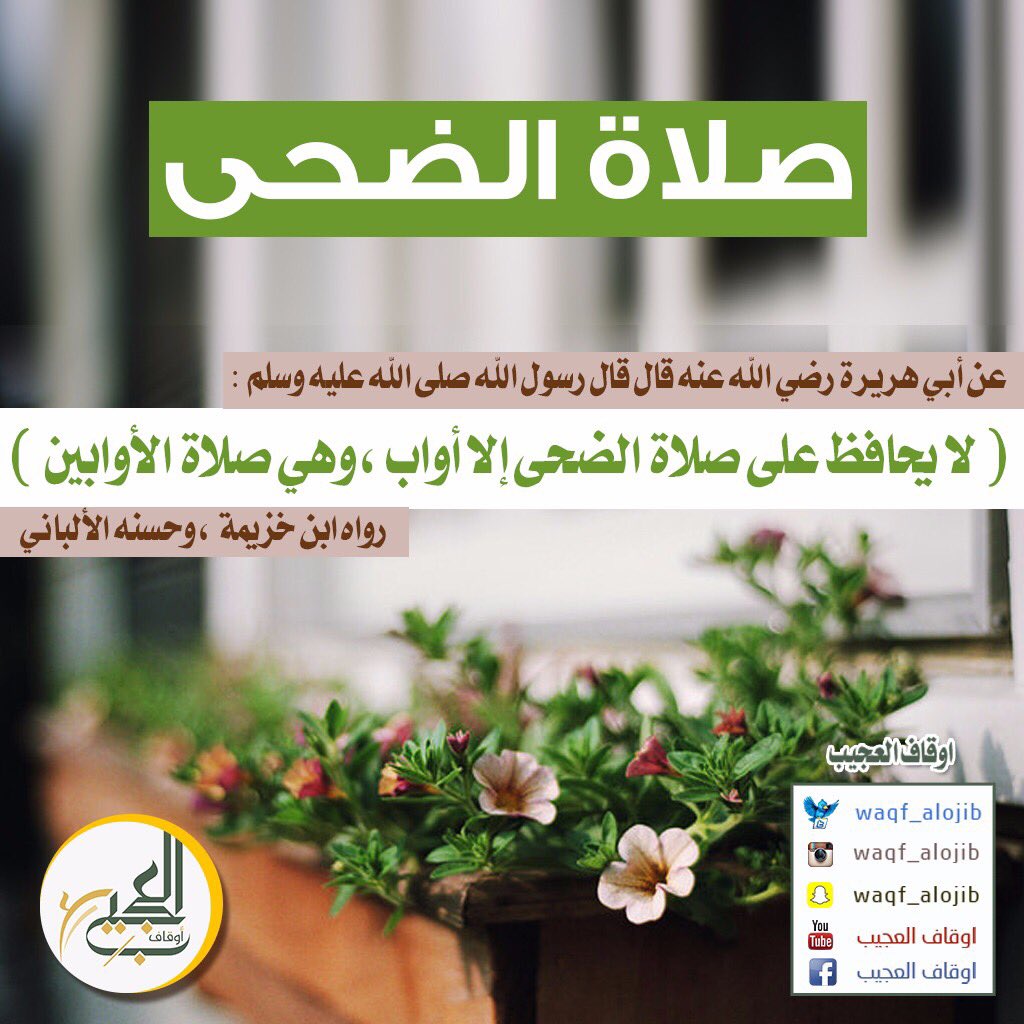 messages_quran's tweet photo. من الأعمال الصّالحة لاغتنام #يوم_عرفة
الصيام
السنن الرواتب
ركعات #الضحى
قيام الليل
الصّدقة
ال��ّعاء
الذكر
الاستغفار
التكبير
#اوقاف_العجيب https://t.co/UuAvwa80XU
