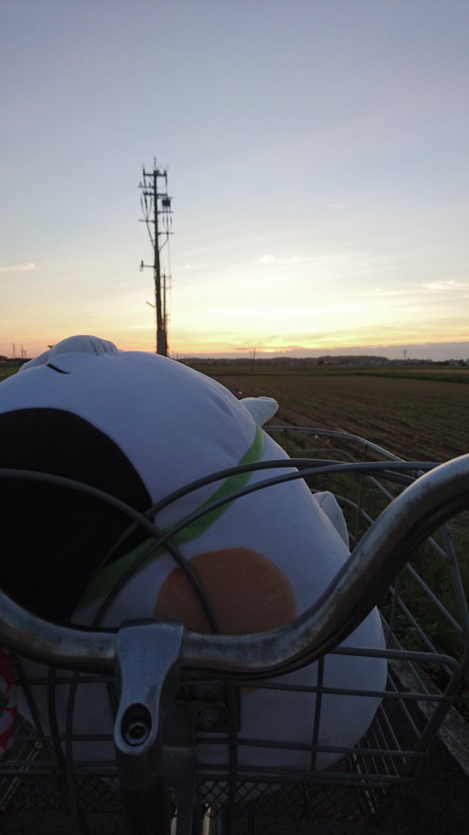 DJ05312416's tweet photo. #ファインダー越しの私の世界
#写真好きと繋がりたい
#写真で伝えたい私の世界
#帰り道
#夕日 #プレゼント https://t.co/FW2WxYESTz