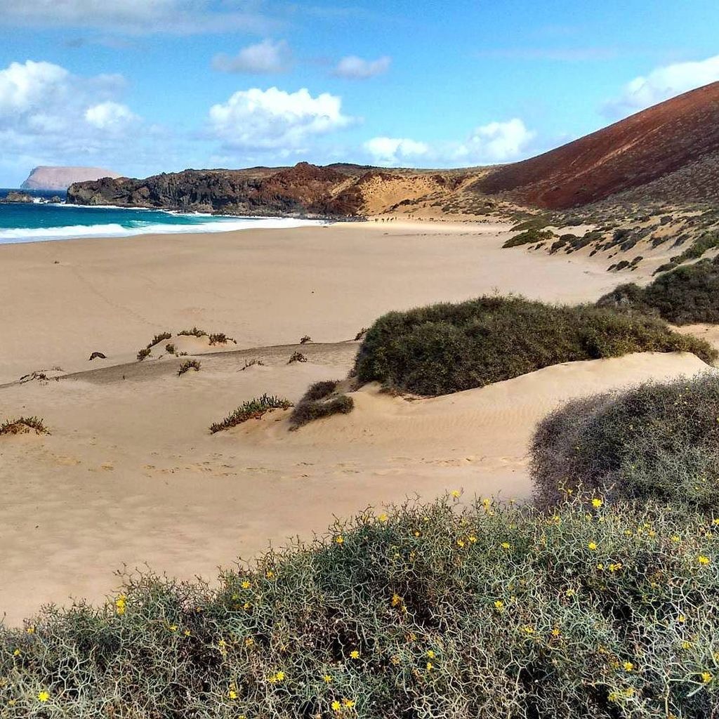voiajacom's tweet photo. Parece que la #naturaleza quiso acabar todos los #colores en lugares como #playadelaconcha #graciosa #lanzarote #l… https://t.co/EiHZwFzxnr https://t.co/tH60rOd68n