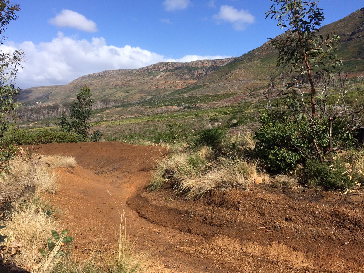 AMA_TokaiMTB's tweet photo. New directions...

Right-right-left-right-right-right-left-air-left-right-air-left-air-left-right.. + more.

 #Vasbyt #Tokai #Donations https://t.co/3yQ803s3wz