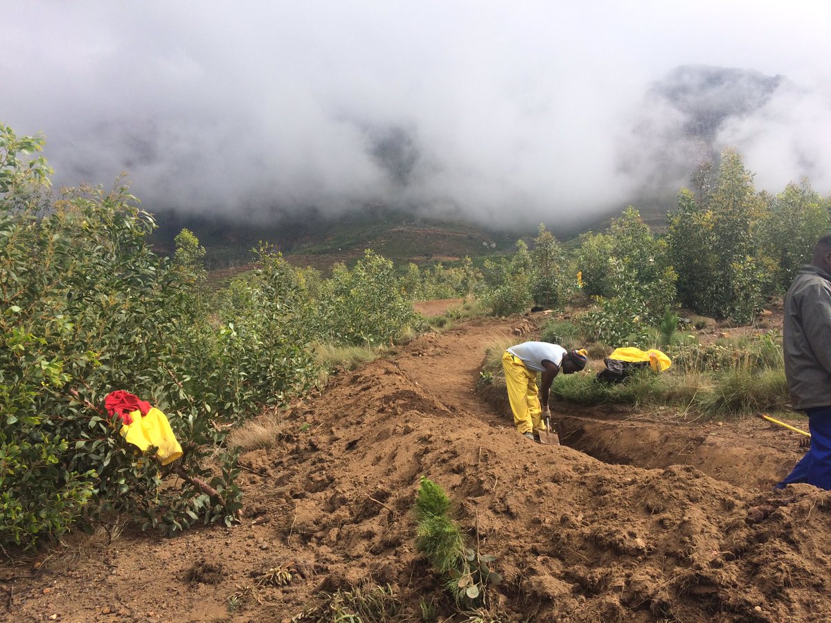 AMA_TokaiMTB's tweet photo. New directions...

Right-right-left-right-right-right-left-air-left-right-air-left-air-left-right.. + more.

 #Vasbyt #Tokai #Donations https://t.co/3yQ803s3wz