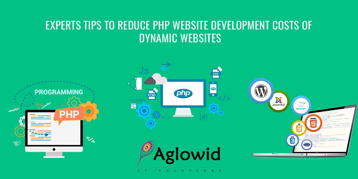 Aglowid's tweet image. 4 Experts Tips to Reduce PHP Website Development Costs of Dynamic Websites #phpappdevelopment #phpwebdevelopment
aglowiditsolutions.com/blog/tips-redu…