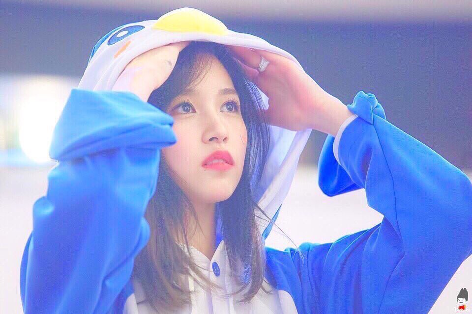 YASSminaonce's tweet photo. 200人記念タグします｡
RT､フォローお願いします｡
#TWICE
#Twitter上にいるTWICEペンさん全員と繋がるのが密かな夢だったりするのでとりあえずこれを見たTWICEペンさんはRTとフォローしていただけると全力でフォローしに行きます https://t.co/dJ4beJsbKl
