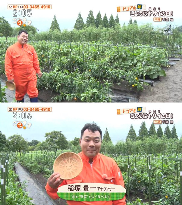 高気圧まゆげ Geda 2 17年08月 Twilog