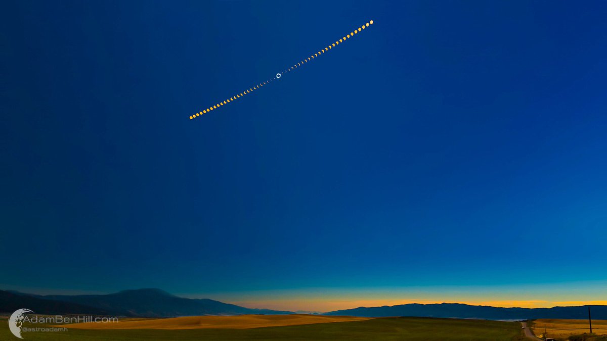 Adam Hill tweet media