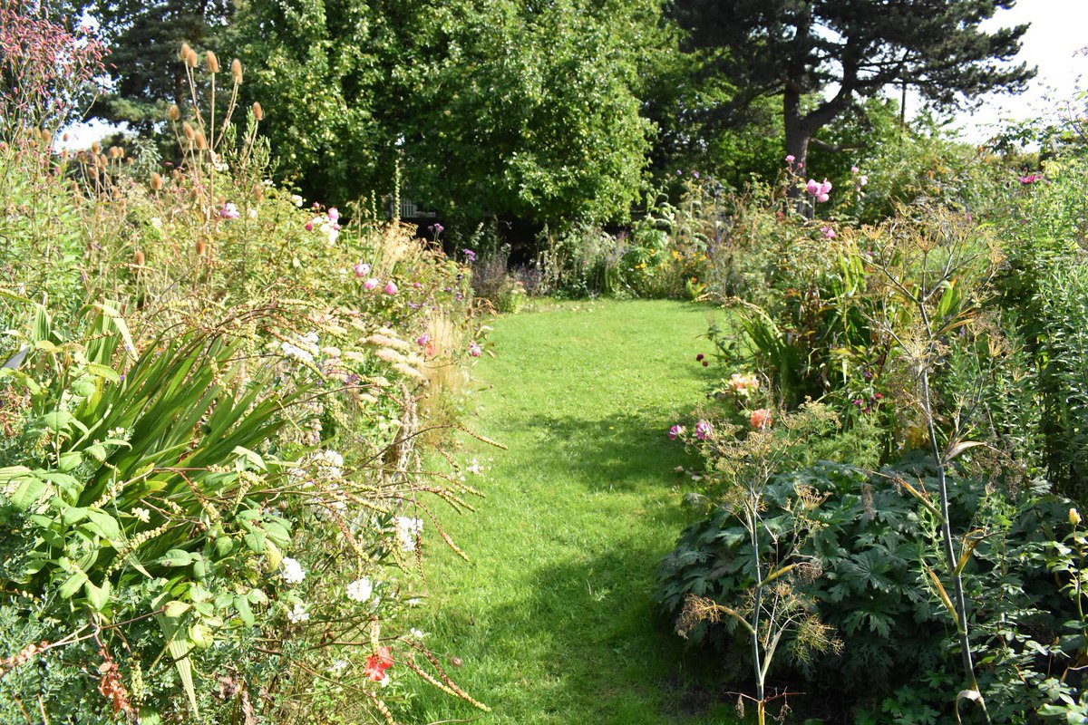 papaver's tweet photo. My review of how the garden looks as August ends #gdnbloggers #endofmonthview #EoMR https://t.co/jUe8AkiZcv https://t.co/FJuaWN9ibw