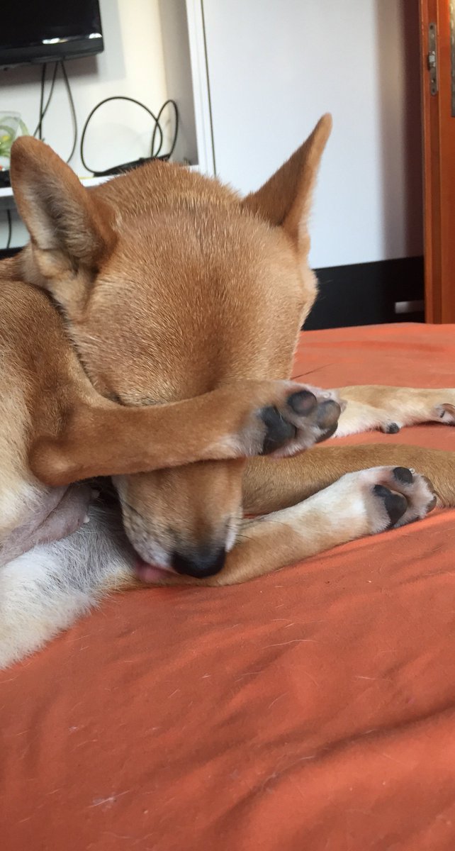 Dab:D Check my channel out!:3 m.youtube.com/channel/UCWqg1…