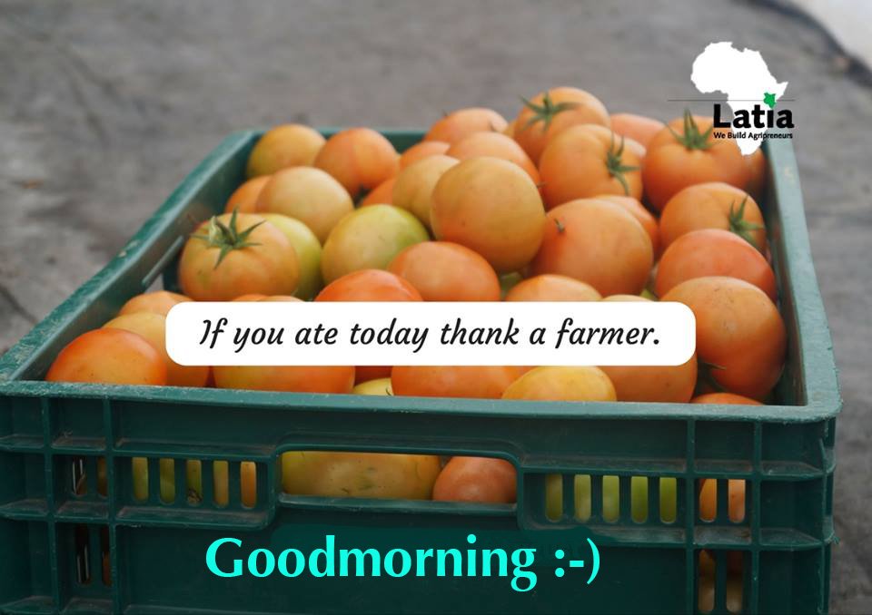 LatiaAgribusinessSol (@agribusinesssol) on Twitter photo 