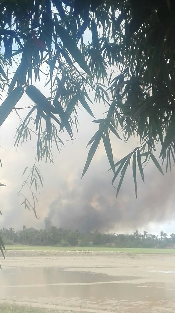 askreport's tweet photo. 31th aug 17 #MyanmarArmy Arrested #Rohingya Threatening to torche their own houses in #Kyauklega & Then Taken video & pic. #AskReport @cnni https://t.co/pJE1t2qEKC