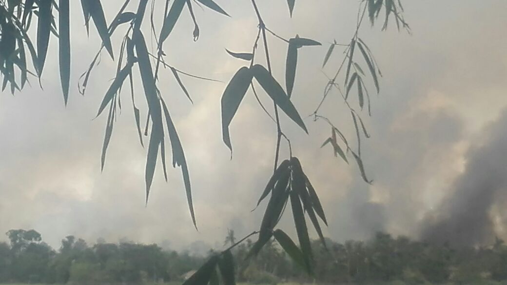 askreport's tweet photo. 31th aug 17 #MyanmarArmy Arrested #Rohingya Threatening to torche their own houses in #Kyauklega & Then Taken video & pic. #AskReport @cnni https://t.co/pJE1t2qEKC