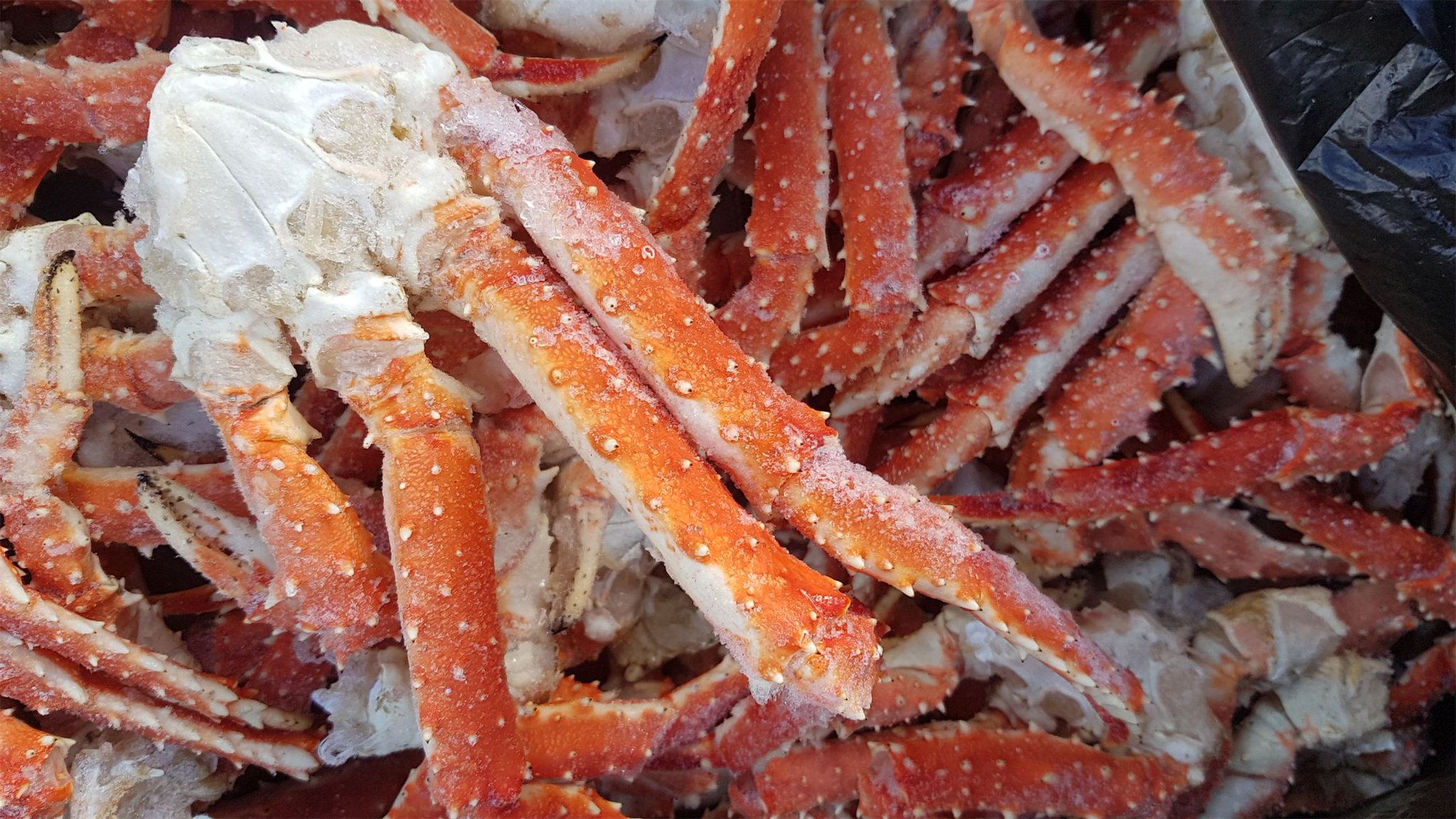Морской Стригун