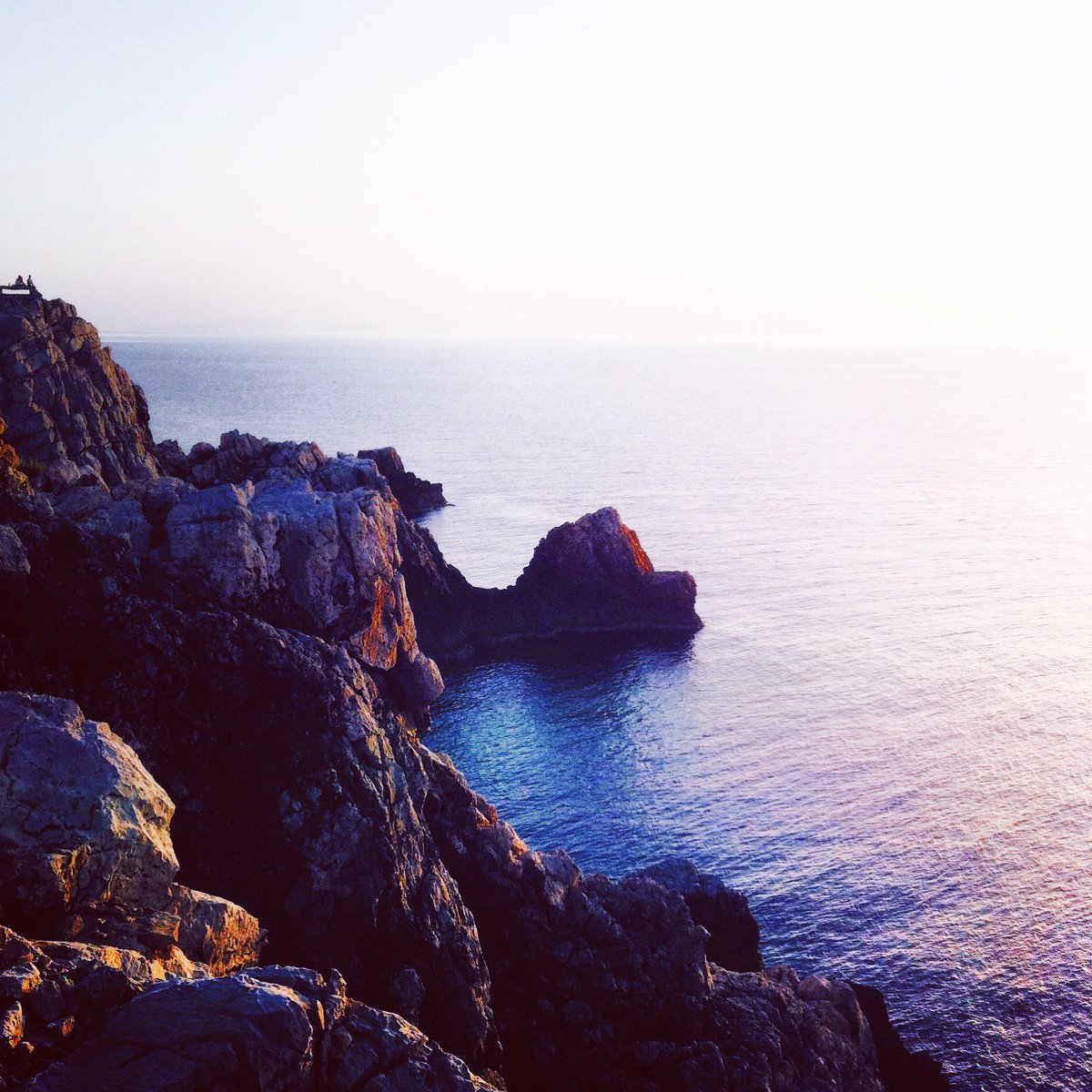 bitsofglorybake's tweet image. ✖️PANTONE  S U N R I S E ✖️
instagram.com/p/BYcn0BZHe8y/
#summervibes 
#IslasBaleares 
#livethemoment