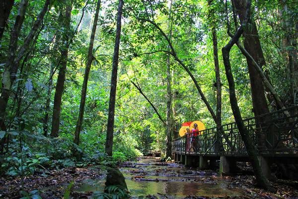 goyunnanchina's tweet photo. Sanchahe Nature Reserve in #Mengla County - a 2½-kilometer-long aerial walkway & waterfall. #yunnan https://t.co/hpU8Ld2pwl