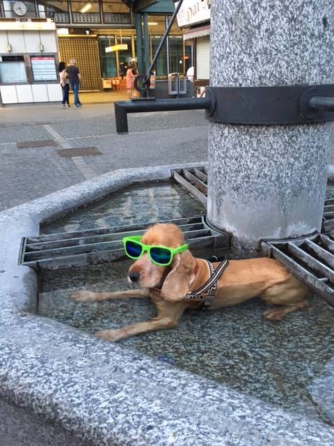 Mit den günstigen #Tarifen von #spusu noch die letzten heißen Sommertage #genießen. Weitere Details auf spusu.at 💚 #mobilfunk