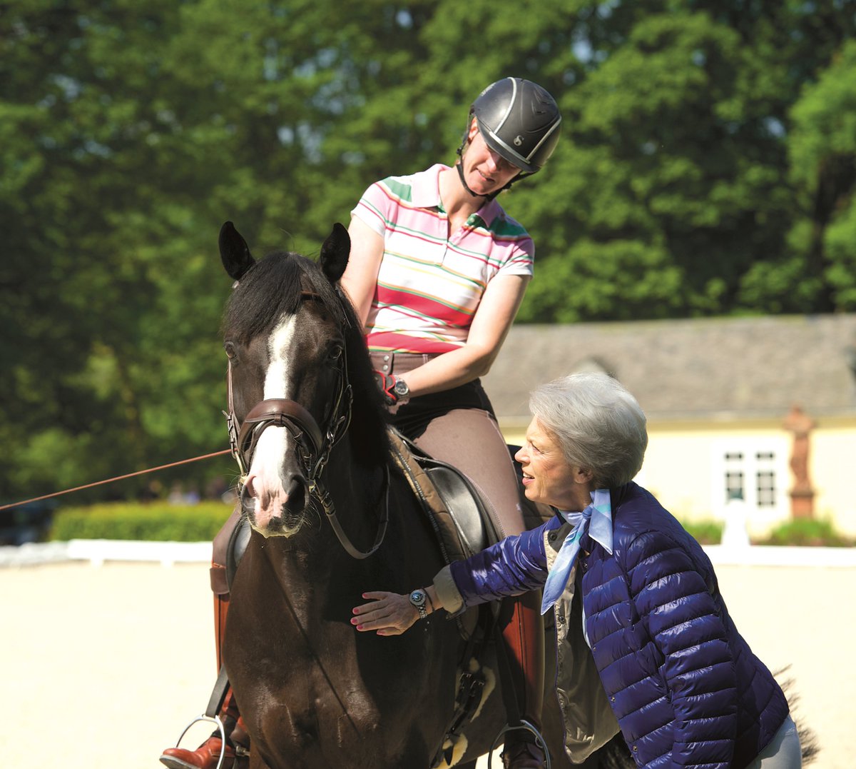 Weten hoe je jouw fokproduct opleidt tot Grand Prix paard? Kom dan naar #nathaliezusaynwittgenstein op #horseevent bit.ly/2xOuLgv