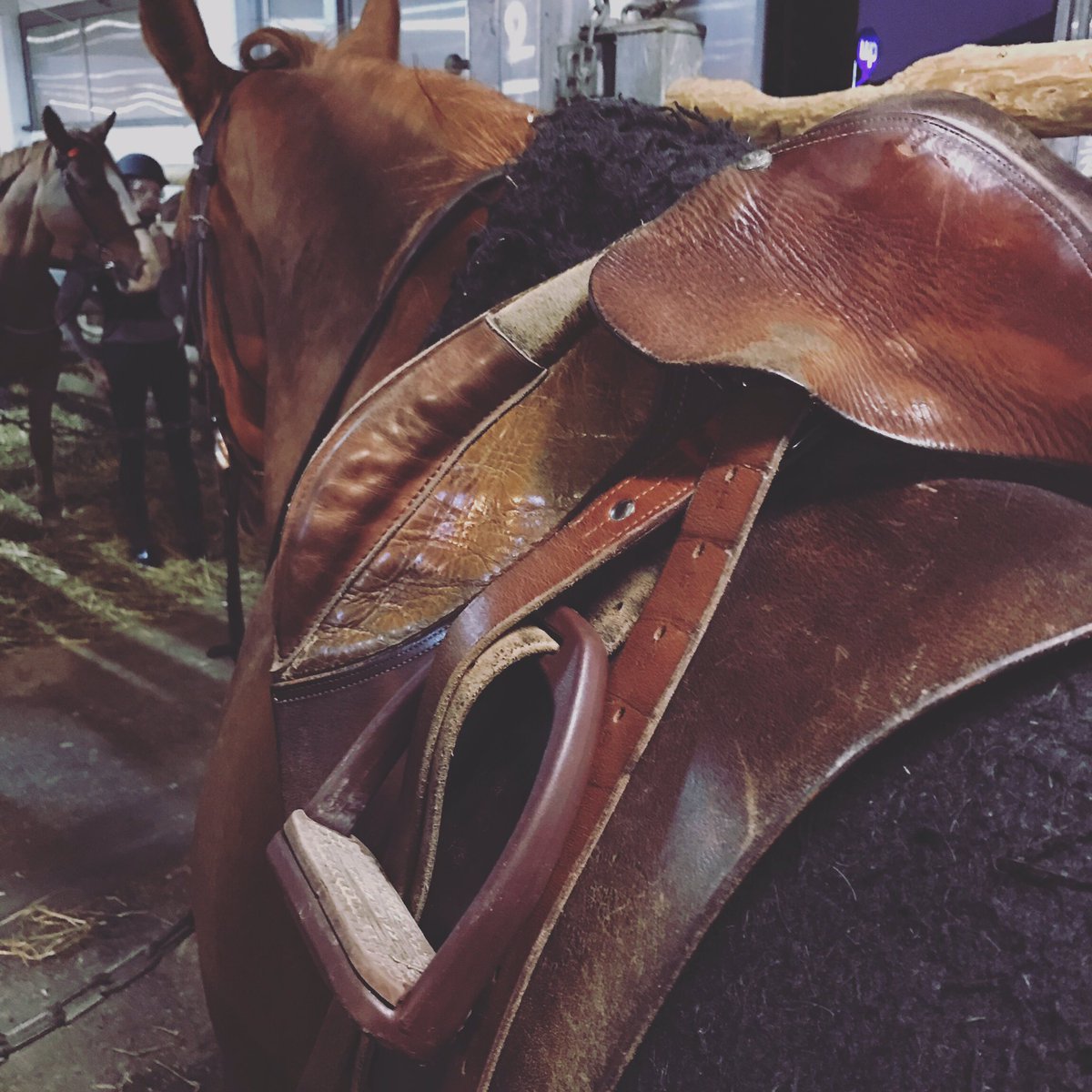demartinisguiom's tweet photo. Retour en selle dans une semaine #hâte #equitation #paris19 #equivil https://t.co/aefZOn19yF