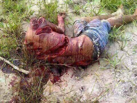 Stand against with Bengali terrorism.
Inhuman atrocities   of militant  #ExtremistBengaliterrorists  in Rakhine State, Myanmar.