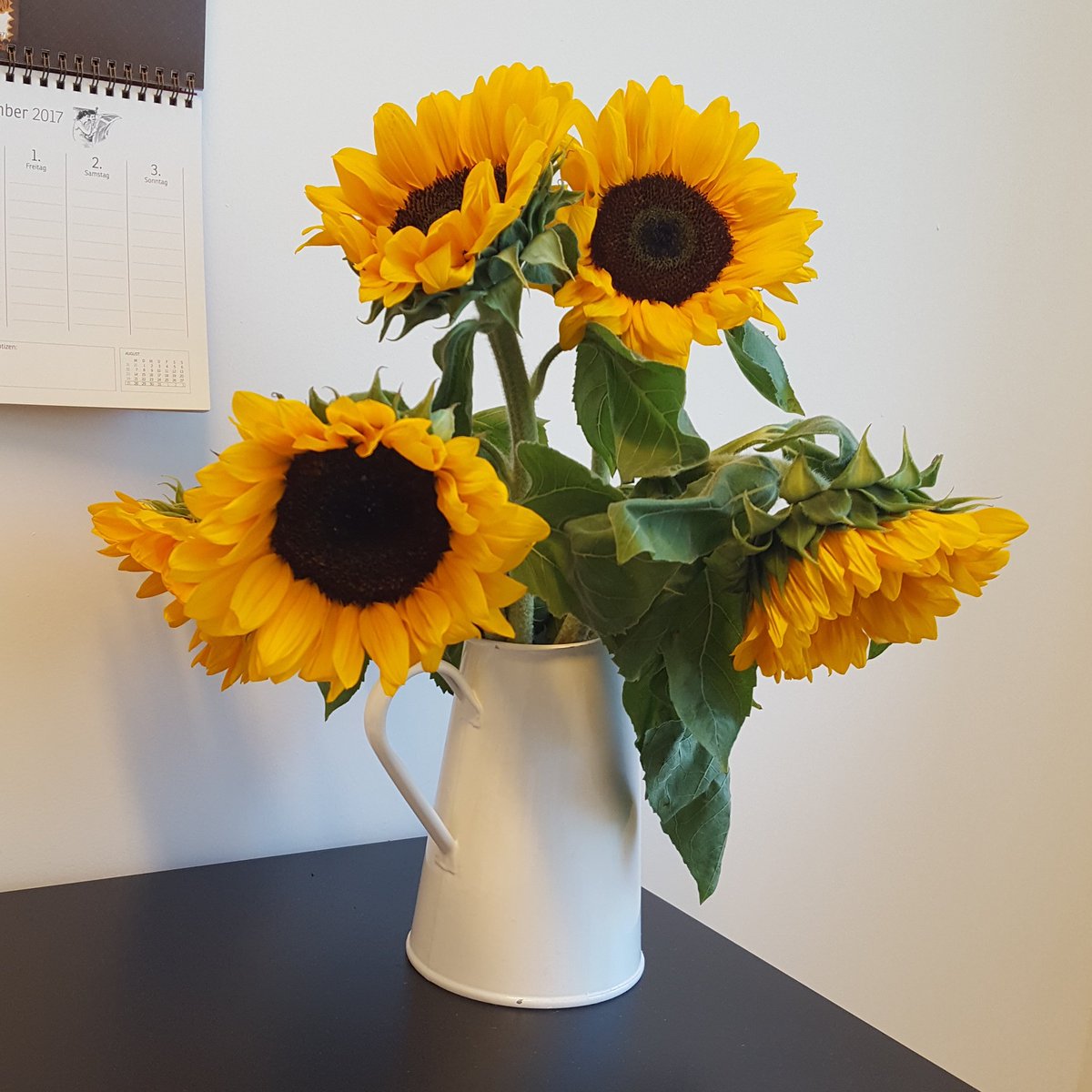 J_Kohlenberger's tweet photo. Damit ihr alle vor #WorkplaceEnvy erblasst: Beste Kollegin von allen @BuberEnnser beschenkt mich einfach mal mit 1 Kanne Sonnenblumen. https://t.co/1xYtbQ2sWS