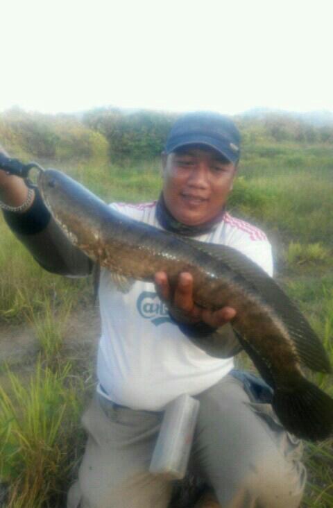 H33NK1's tweet photo. Wild fishing https://t.co/AgrEqvjKc0