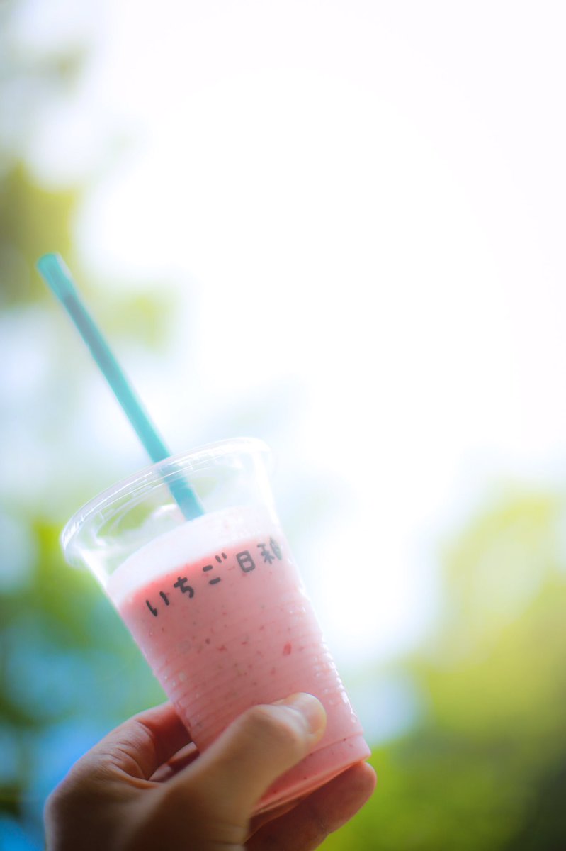 Osermyo's tweet photo. 長女連れていちご日和さんへ☆安定のいちごシェイクを風も気持ちいいので外で堪能させていただきました‼︎
ごちそうさまでした‼︎
 #shinnosukephotography #横河原 #下林 #東温市 #おかだ写真舘 #いちご日和 #いちごシェイク #いちご狩 #安定感 #ぴくま https://t.co/5Ee51te96m