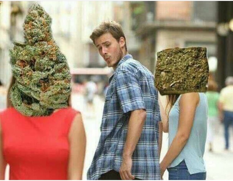 TheAlyssaG666's tweet photo. Best one I've seen so far lmfao #damnnnn #whassup #weed #smokesome #latesesh hahahaha https://t.co/gwTU71CVRd