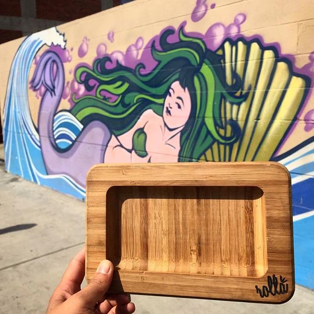 Rollaboards's tweet photo. Mermaids ๐ฌ Photo by the Mighty @steffsliger #rawbamboo #renewable #rollaboard #rollaboards #rollingtray https://t.co/BtyydAFAOU