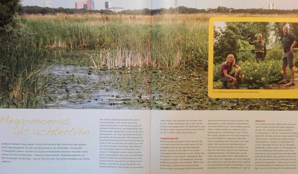 _Prolander's tweet photo. Mooi artikel van @GR_Landschap met 3 enthousiaste beheerders over gebieden die we samen met partners hebben ingericht. #natuur #waterberging https://t.co/dY9ny4wvoX