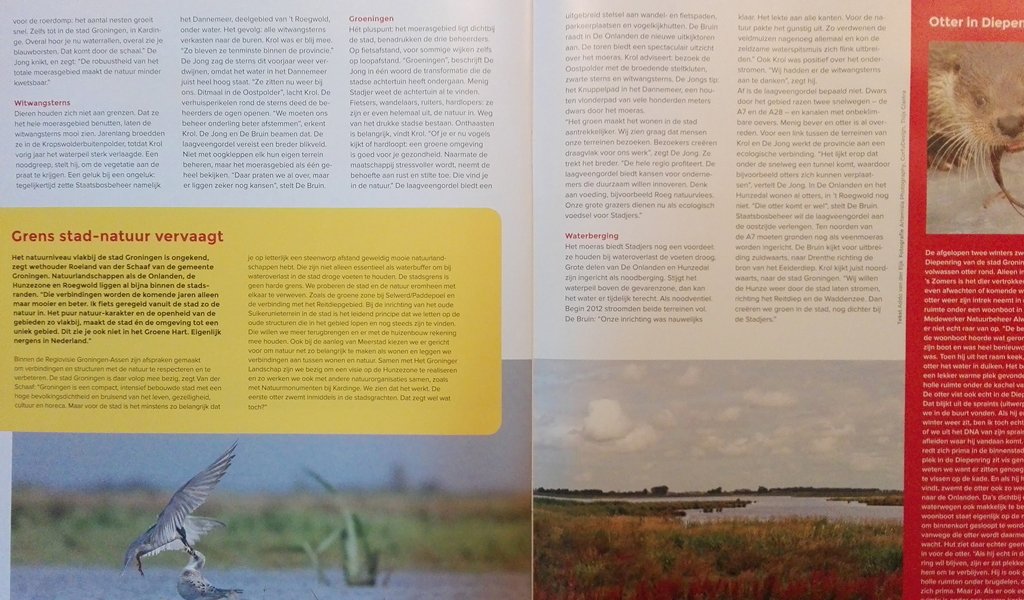 _Prolander's tweet photo. Mooi artikel van @GR_Landschap met 3 enthousiaste beheerders over gebieden die we samen met partners hebben ingericht. #natuur #waterberging https://t.co/dY9ny4wvoX