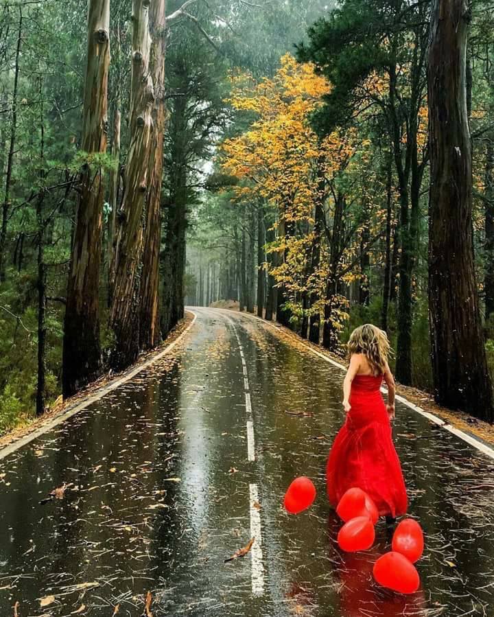 Buenos dias!! Con una lluvia refrescante,veo como se acaban mis vacaciones😏.Feliz dia, guap@s! 😘😘😘