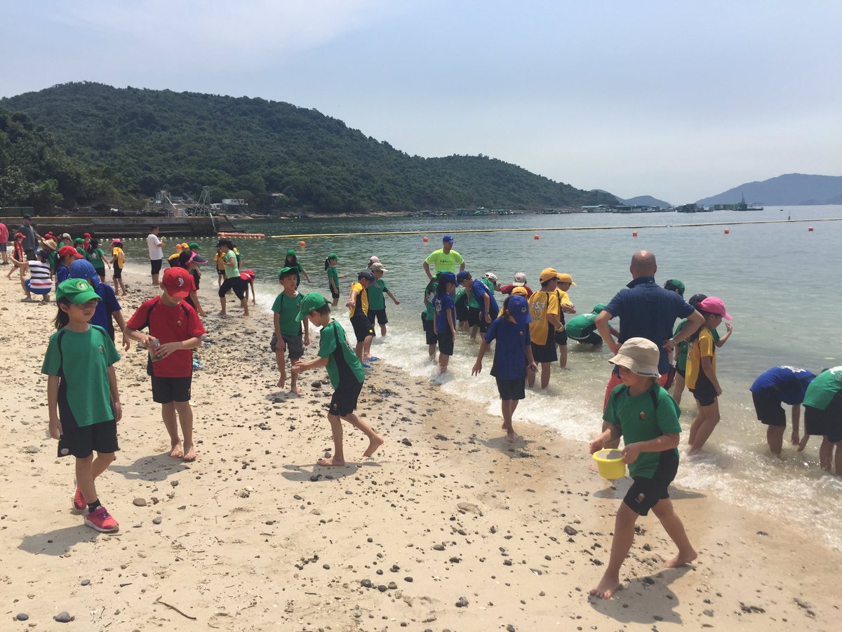 sarahfitz1985's tweet photo. So proud of these kiddos for completing a 6k hike today to Trio Beach @MsFitzY4 #challenge #WWA #pyp #beachday #wewillsleepgoodtonight https://t.co/DyEA86vFU1