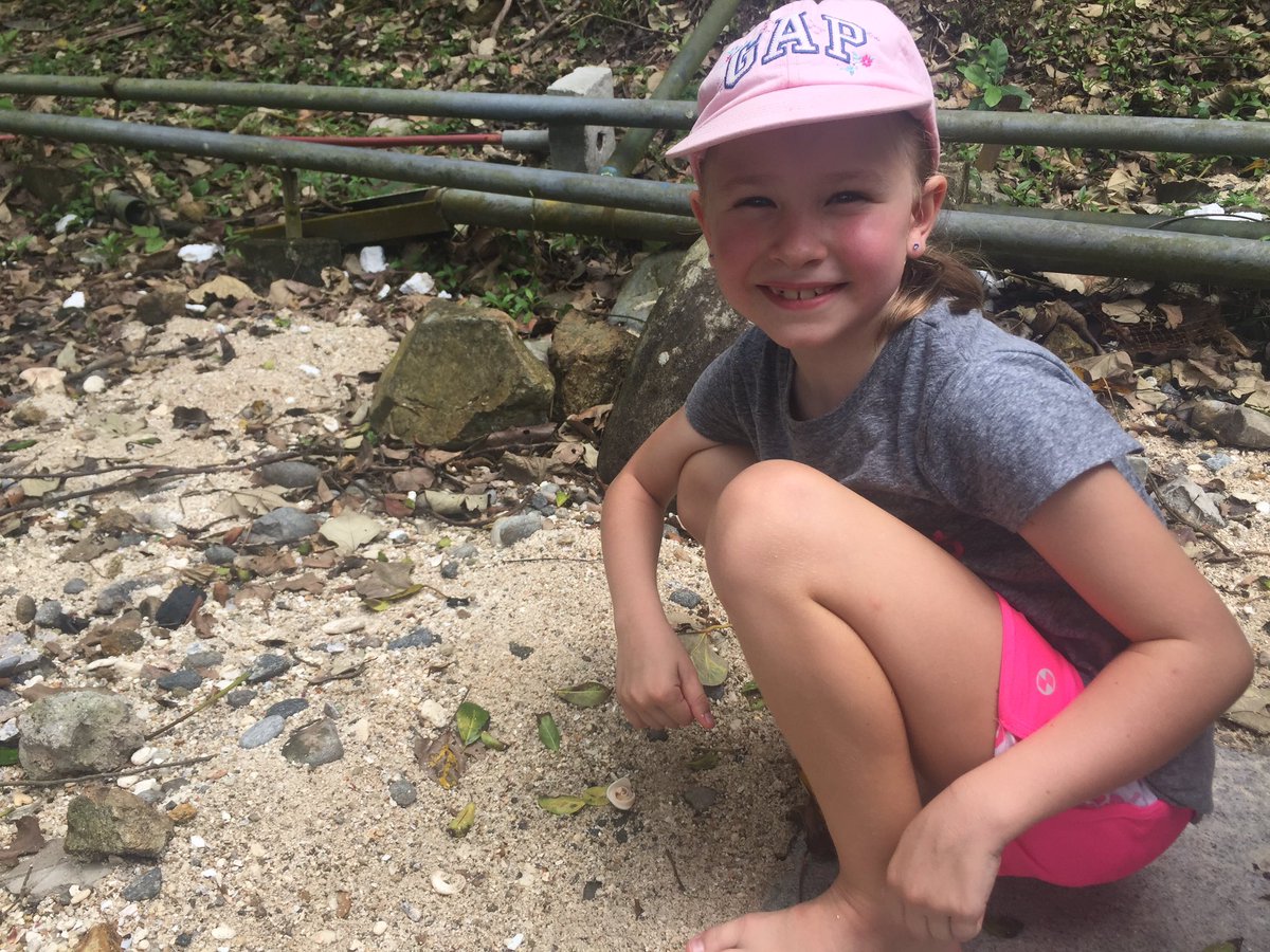 sarahfitz1985's tweet photo. So proud of these kiddos for completing a 6k hike today to Trio Beach @MsFitzY4 #challenge #WWA #pyp #beachday #wewillsleepgoodtonight https://t.co/DyEA86vFU1