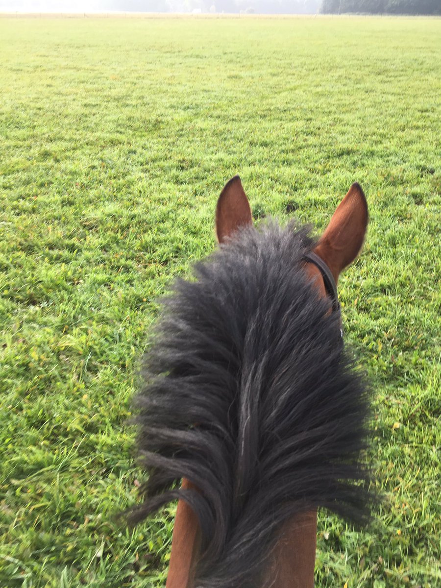 #bootcamp almost finished!