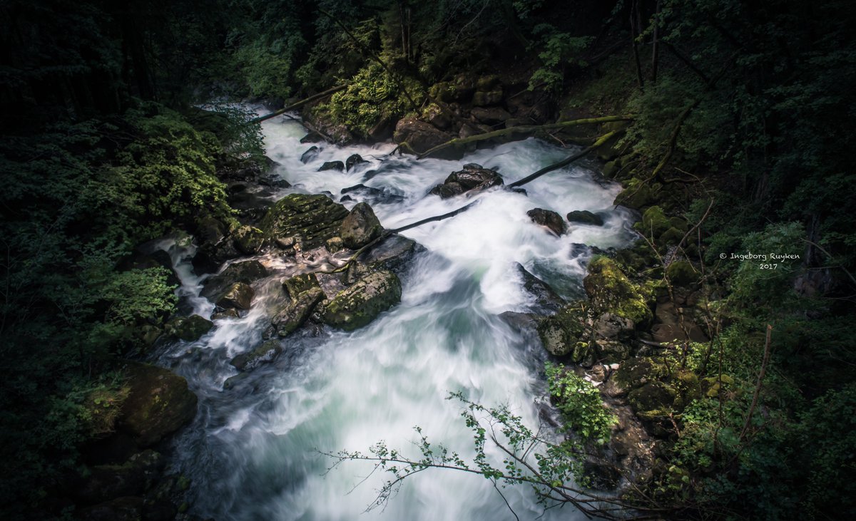 So strong, yet so tender

#waterflow #waterfall #Seerenbach #switzerland #Walensee #landscape