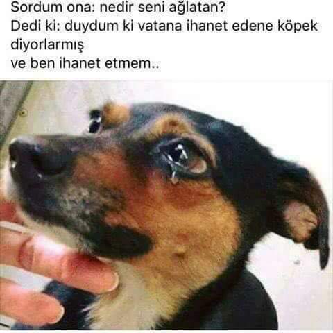 <a href="/candundaradasi/">Can Dündar</a>