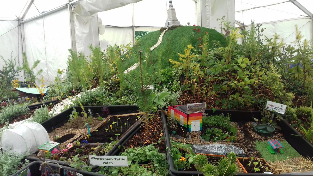 Frances Wright Nursery on Twitter "Amazing display in The Children's