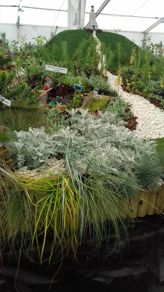 Frances Wright Nursery on Twitter "Amazing display in The Children's