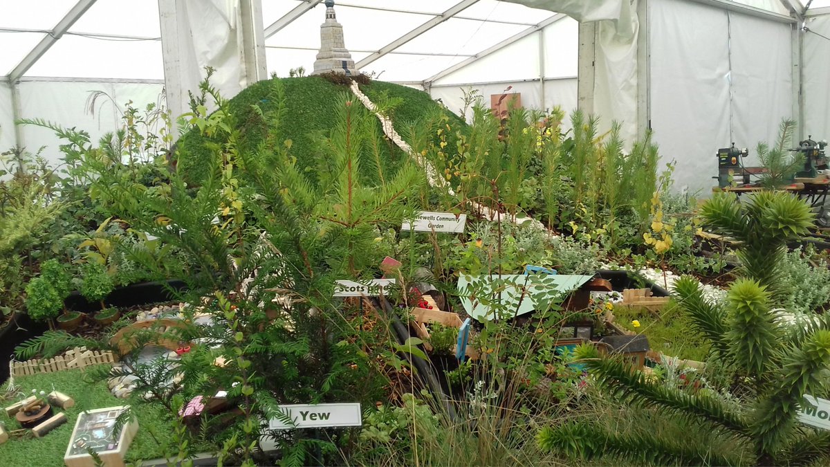 Frances Wright Nursery on Twitter "Amazing display in The Children's