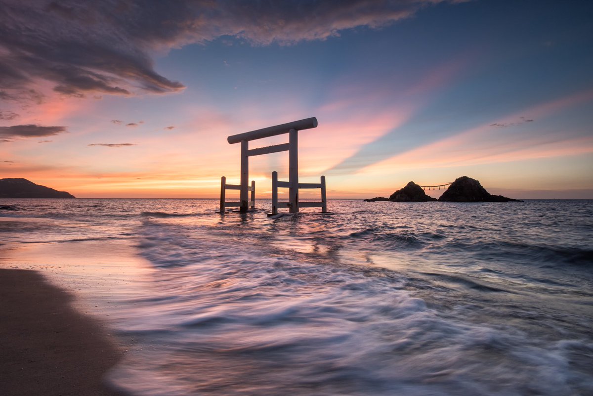 Hrs_photo's tweet photo. 明日から学校なので今日は早く寝るらしい。
一家全員、夜ふかしは厳禁らしい。
さらに写真の現像も厳禁らしい。

家族とはそういうものらしい。

#sunsetdelic https://t.co/OtJ7jfyW0E