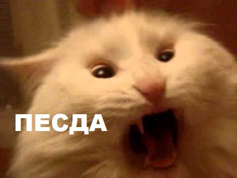 SwRachel's tweet image. То чувство, когда