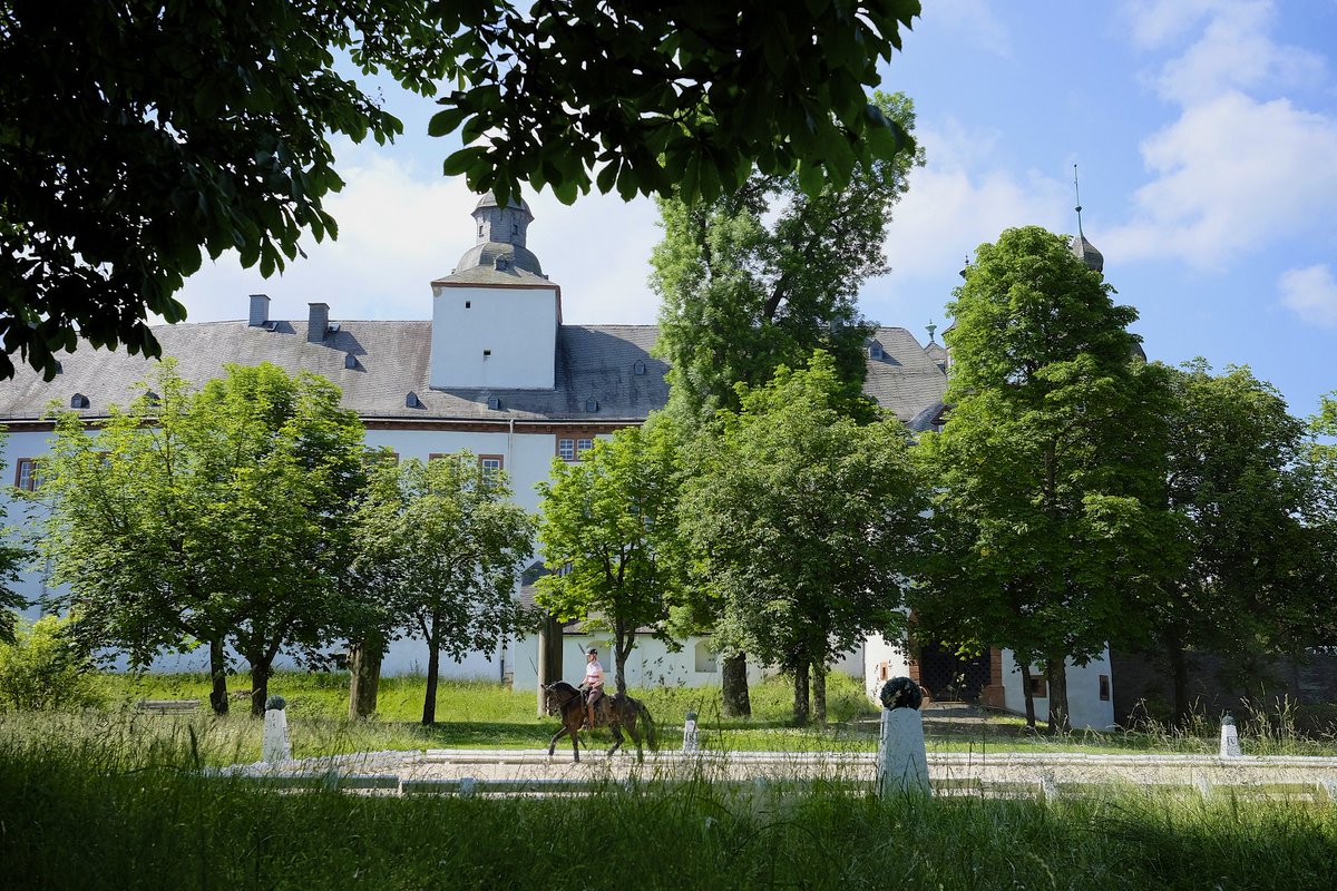 Op 8 + 9 sept vertelt prinses Nathalie zu Sayn-Wittgenstein over haar succes op #horseevent Meer info: bit.ly/2xOuLgv #dressuur