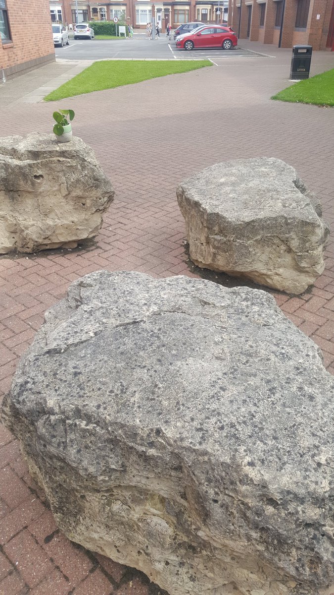 RadForgeAdam's tweet photo. Made some new friends with these rock &amp; roll guys #Rockon #Onrock #Climber https://t.co/h9VrlYiCrB