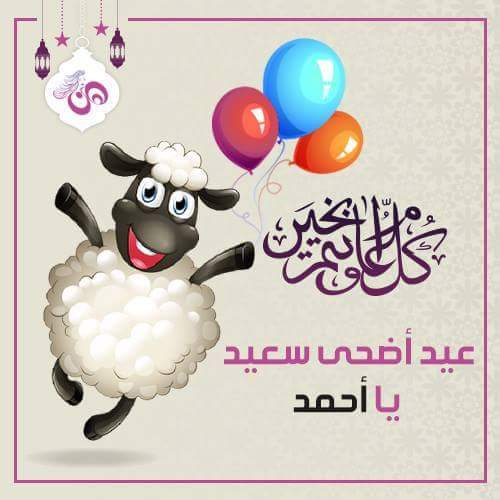 fouadhttp tweet picture