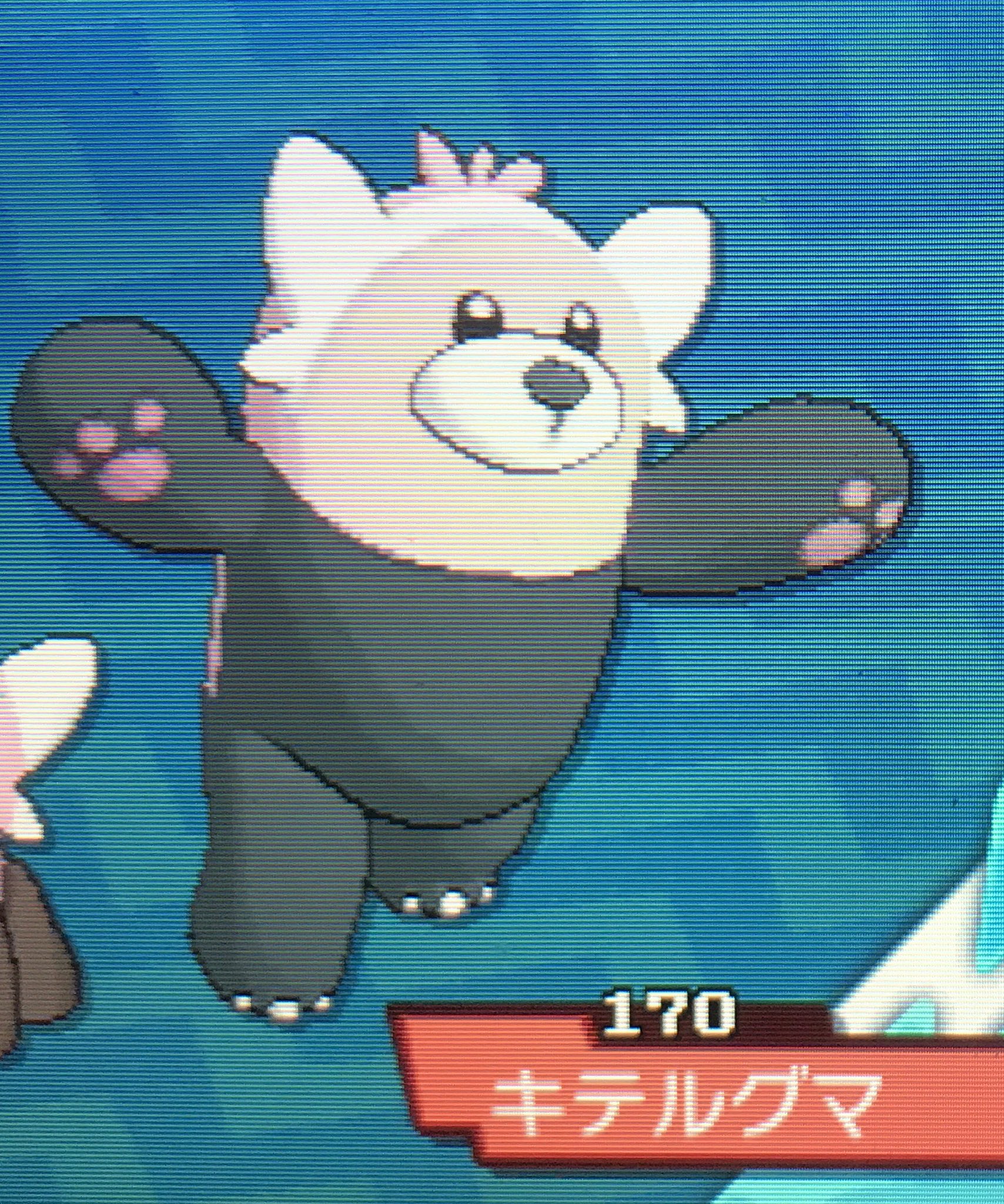 ポケモン Wczdaebwvmrb9ig Twitter