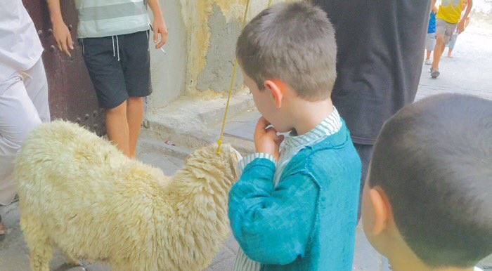 sirajunmunira's tweet photo. https://t.co/u2MTLzDl7G #eidforkids #islamforkids #islamichomeschooling #sufismforchildren #qurban #eidactivity @sirajunmunira https://t.co/UTWlvrvvA6