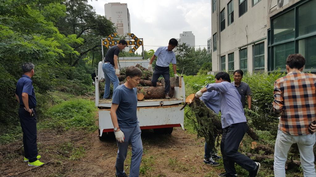 #성남시 농업기술센터 사무실 주변 벌목한 나무를 직원들이 모두 차량에  무거운나무를 상차 정리작업을 하여 주변 환경을 깨끗히 하였네요!